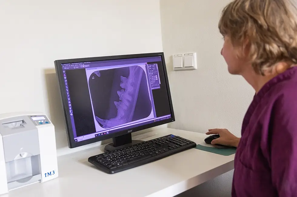 Dentalröntgen digital am PC