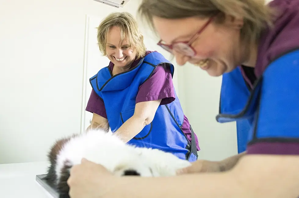 Digitales Röntgen in der Praxis