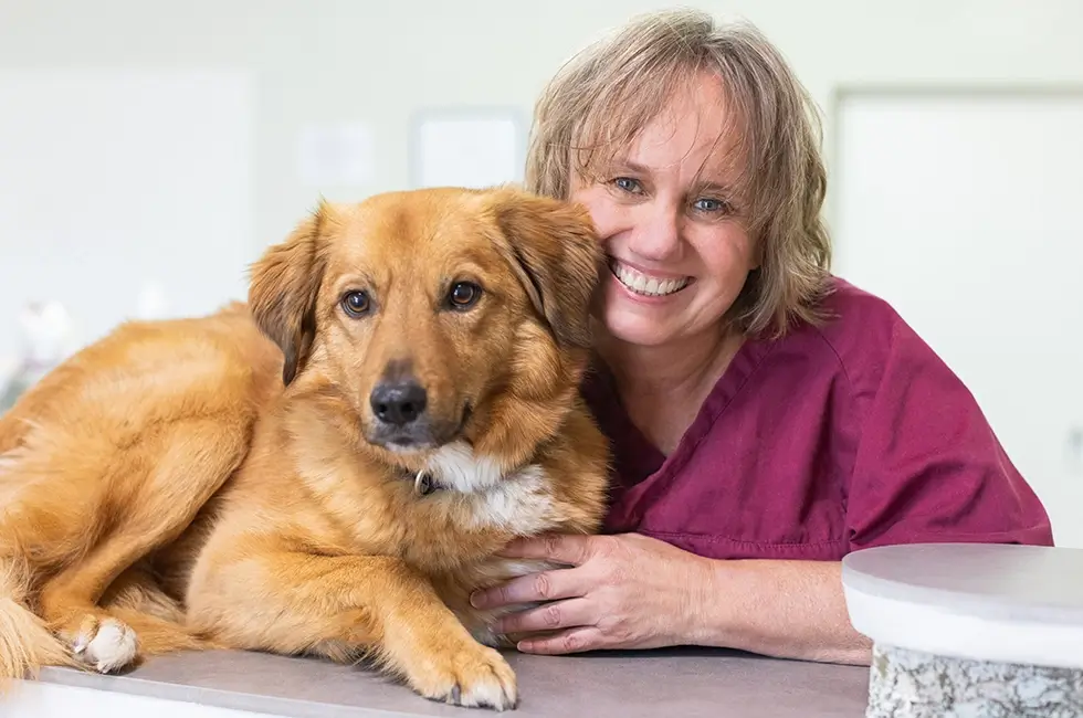 Dr. Lippoth und Hhund Noel