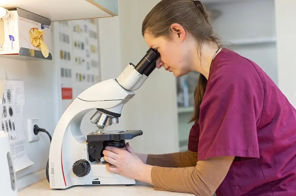 S. Pieper Tierärztin im Labor